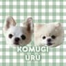 ˚*.꒰ ᴋᴏᴍᴜɢɪ & ᴜʀᴜ ꒱.*˚