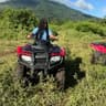 Lexa| Travel Creator