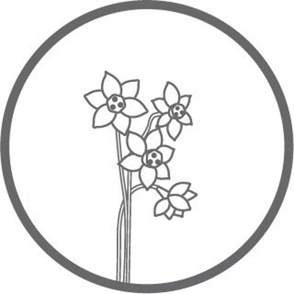 place avatar