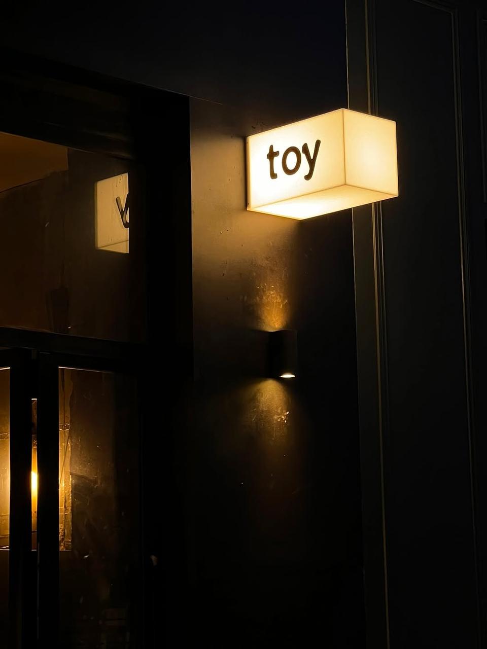 toy