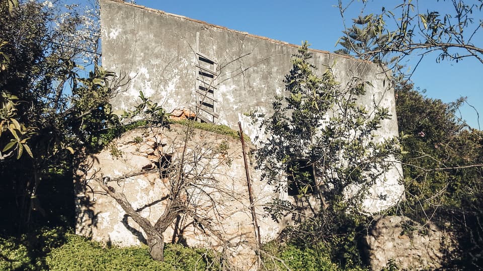 The Story of Casa Linear : A Soulful Restoration
