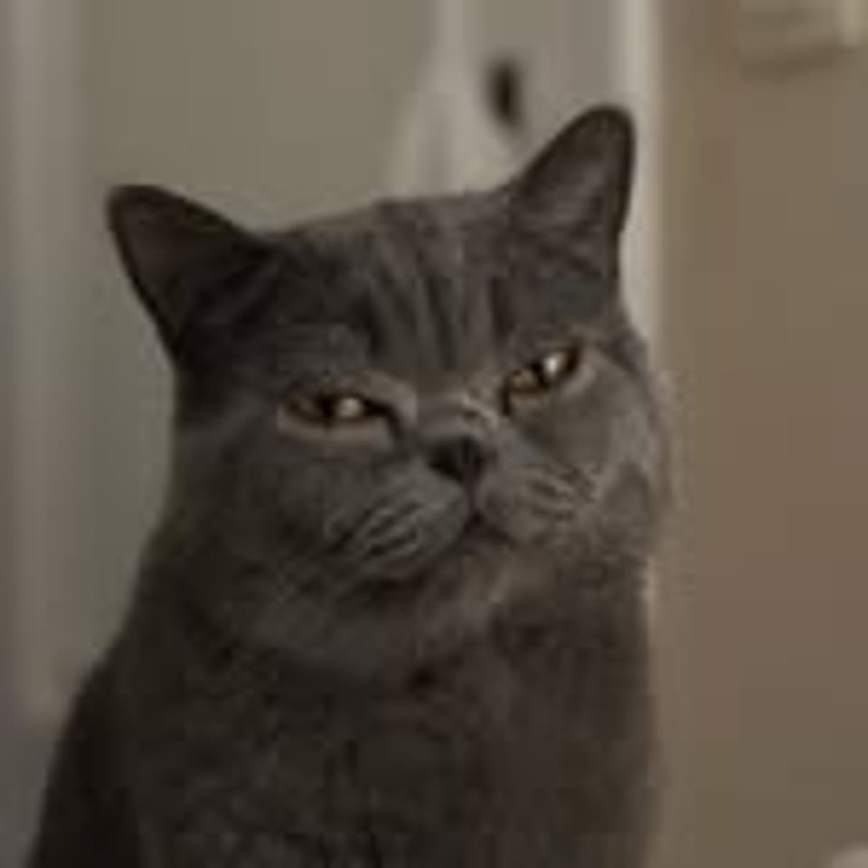 Cha