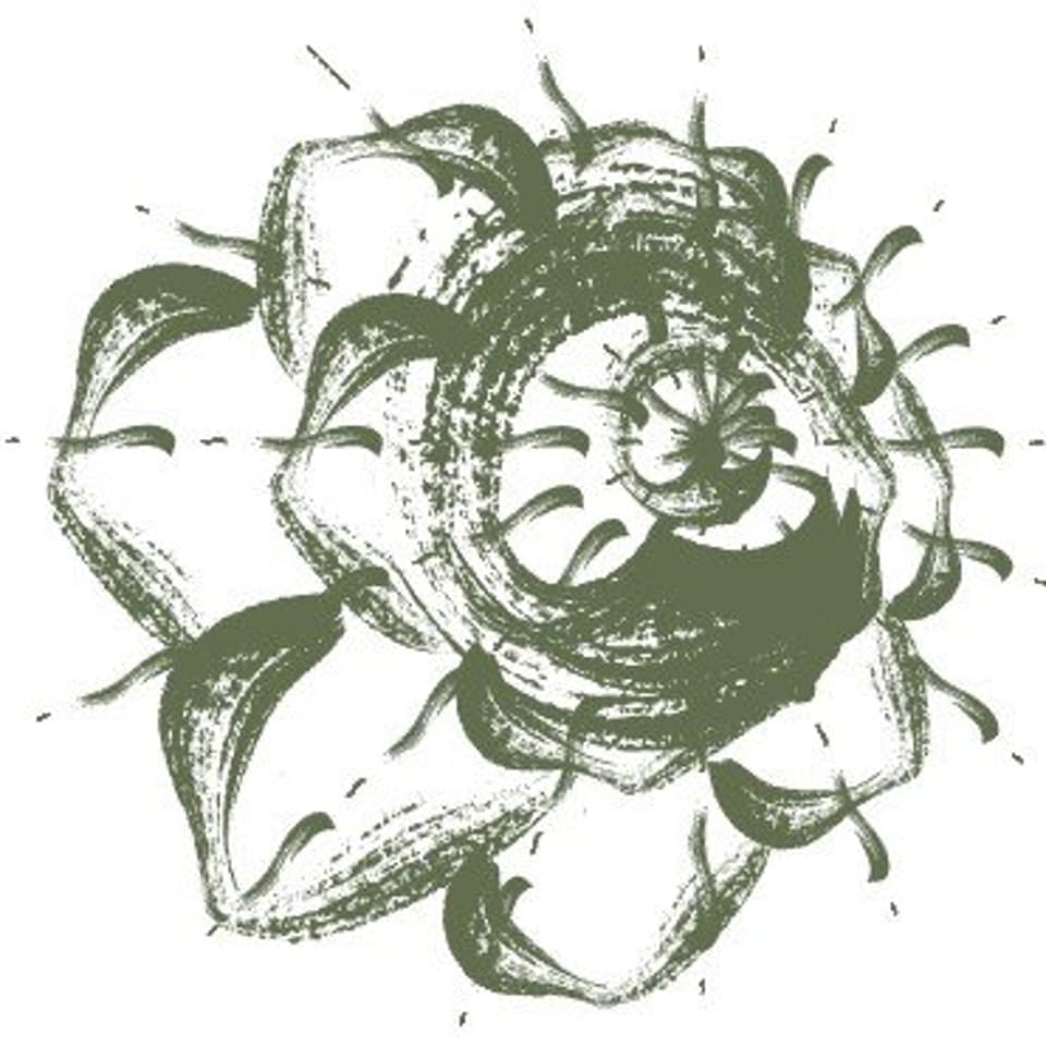 place avatar